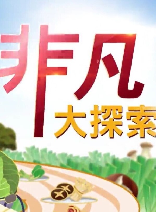 P站精选不传之秘黑丝家教老师真人启蒙性教育请在我的身体里射精 - 色TV海报