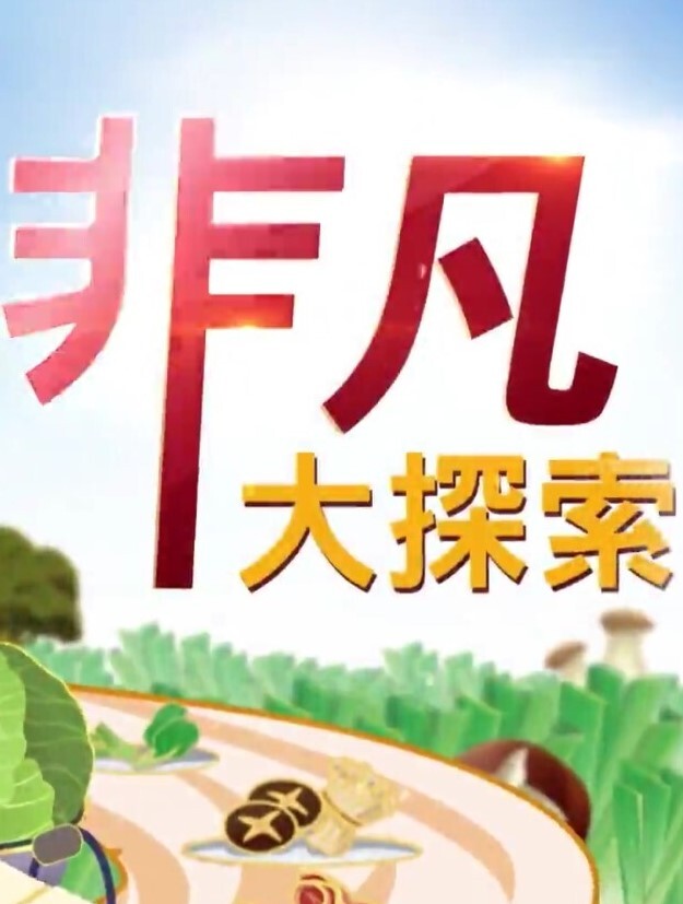 【宾馆上帝视角真实偸拍】丸子头小女友简直太骚了全程主动脱光自己舔男友肉棒女上位饥渴难耐 - 色TV海报